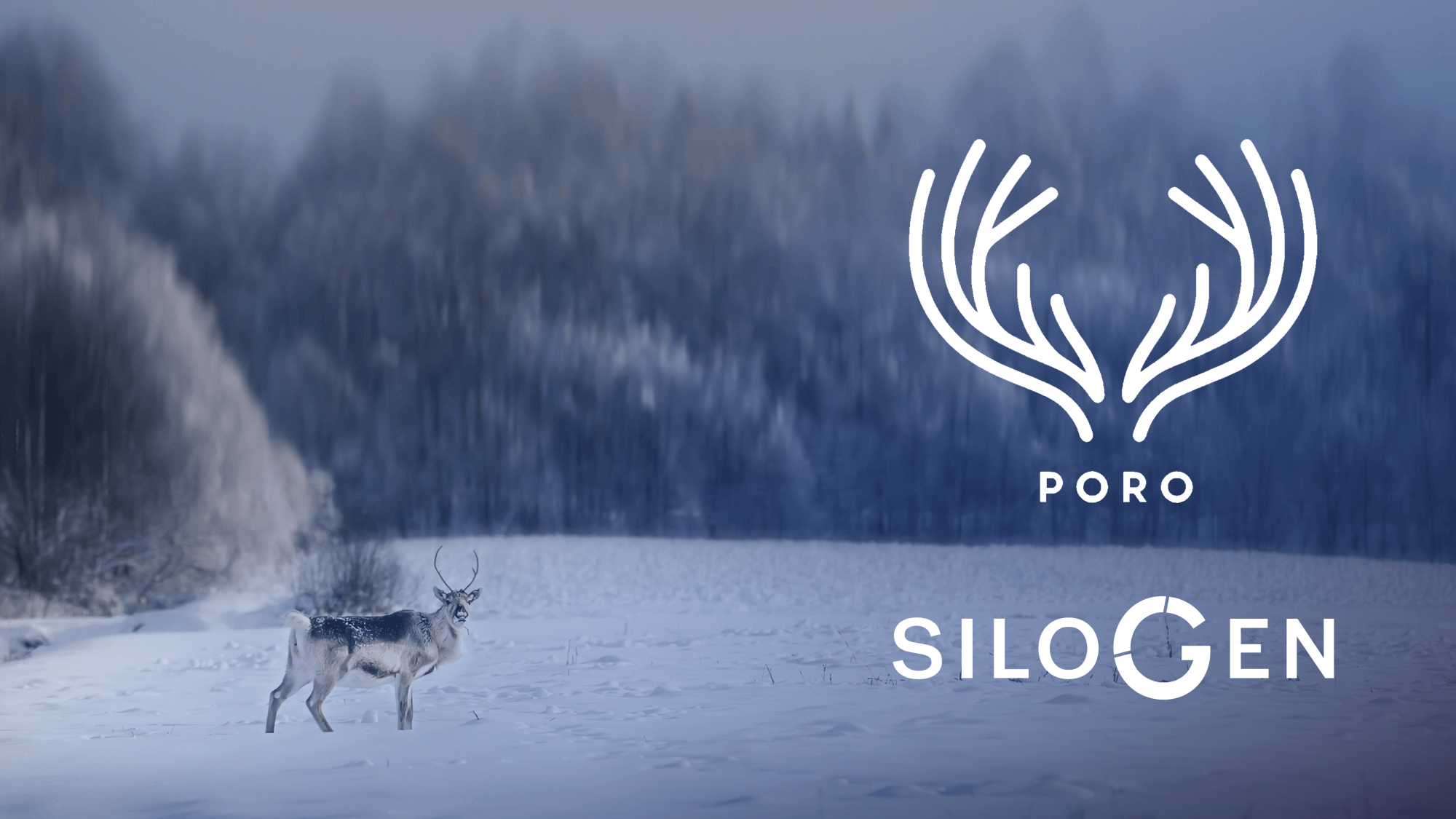 Poro - a family of open models that bring European languages to the ...